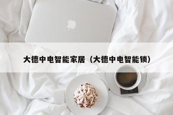 大德中电智能家居（大德中电智能锁）